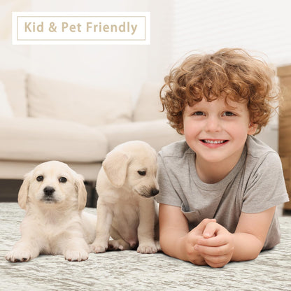 Lukyamzn Washable 8x10 Area Rug, Ultra Soft Faux Wool Vintage Low-Pile Carpet, Non-Slip Large Retro Rug for Living Room Bedroom Home